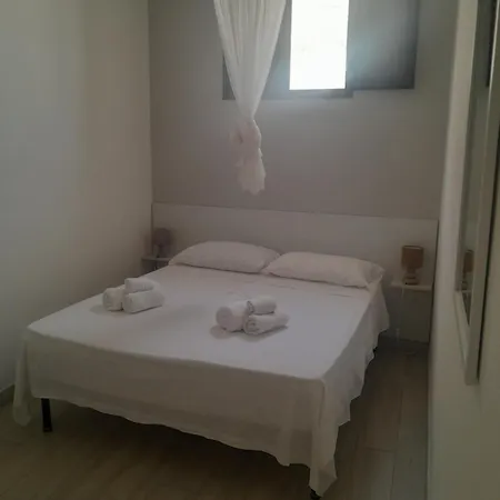 Terranova 2